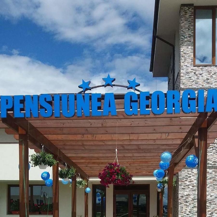 Pensiunea Georgia Lunguleţul Esterno foto